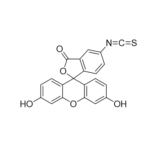 荧光素5-异硫氰酸酯